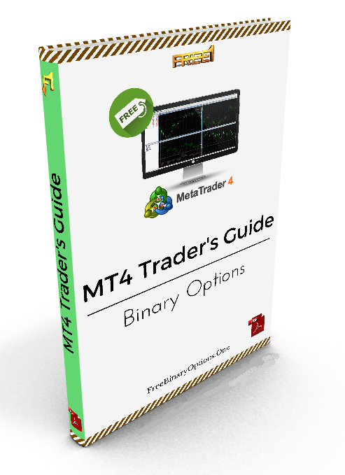 Binary options trading tutorial pdf