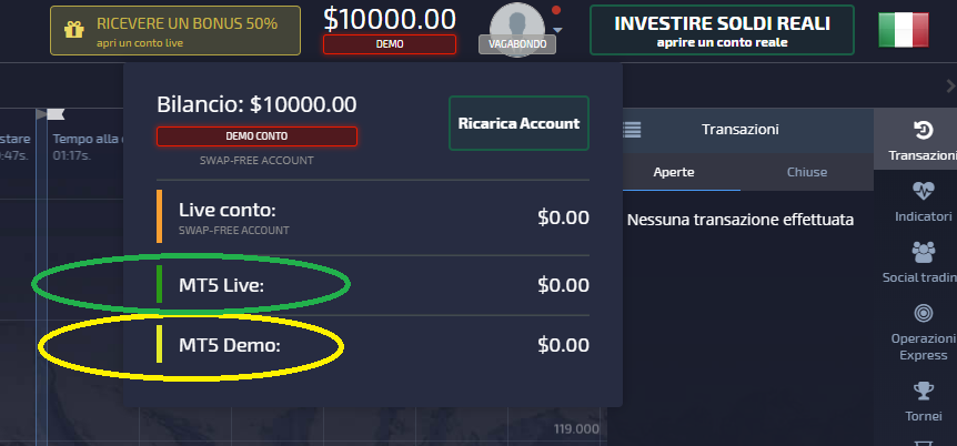 Pocket Option Metatrader